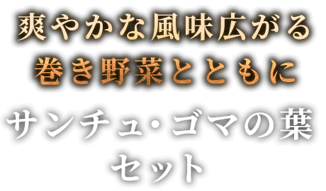 サンチュ・ゴマの葉セット