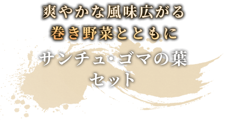 サンチュ・ゴマの葉セット